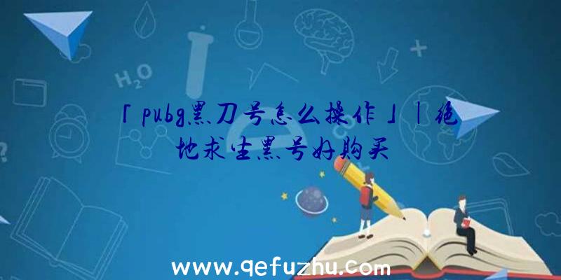 「pubg黑刀号怎么操作」|绝地求生黑号好购买